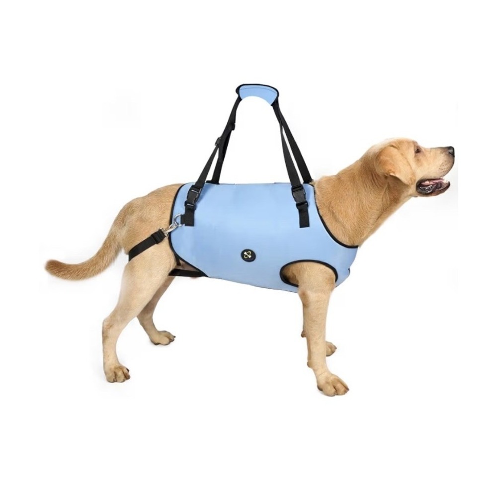 Coodeo Dog Lift Harness Small Blue Padded Breathable Support Sling Vest Rehab
